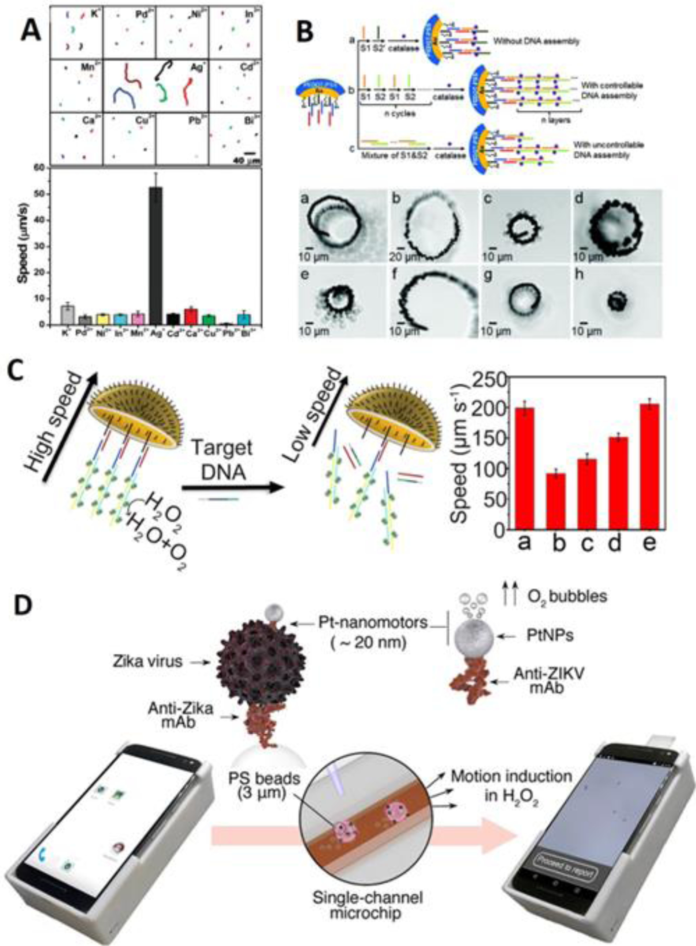 Figure 6.