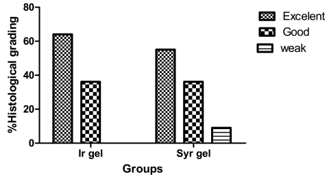 Fig. 1: