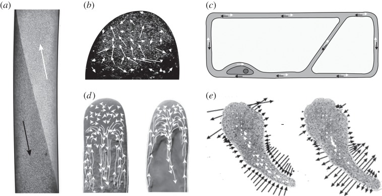 Figure 2.