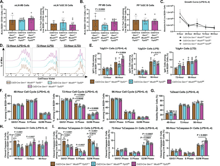 Figure 4—figure supplement 2.