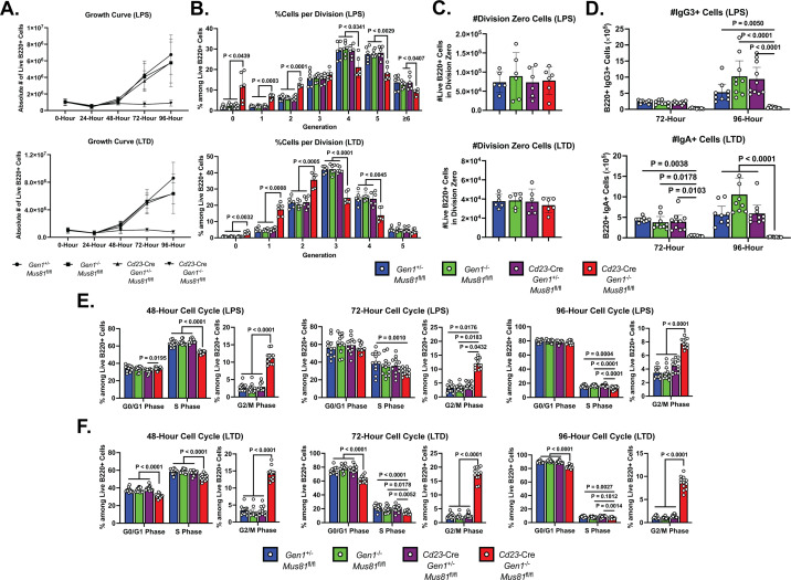 Figure 3—figure supplement 1.