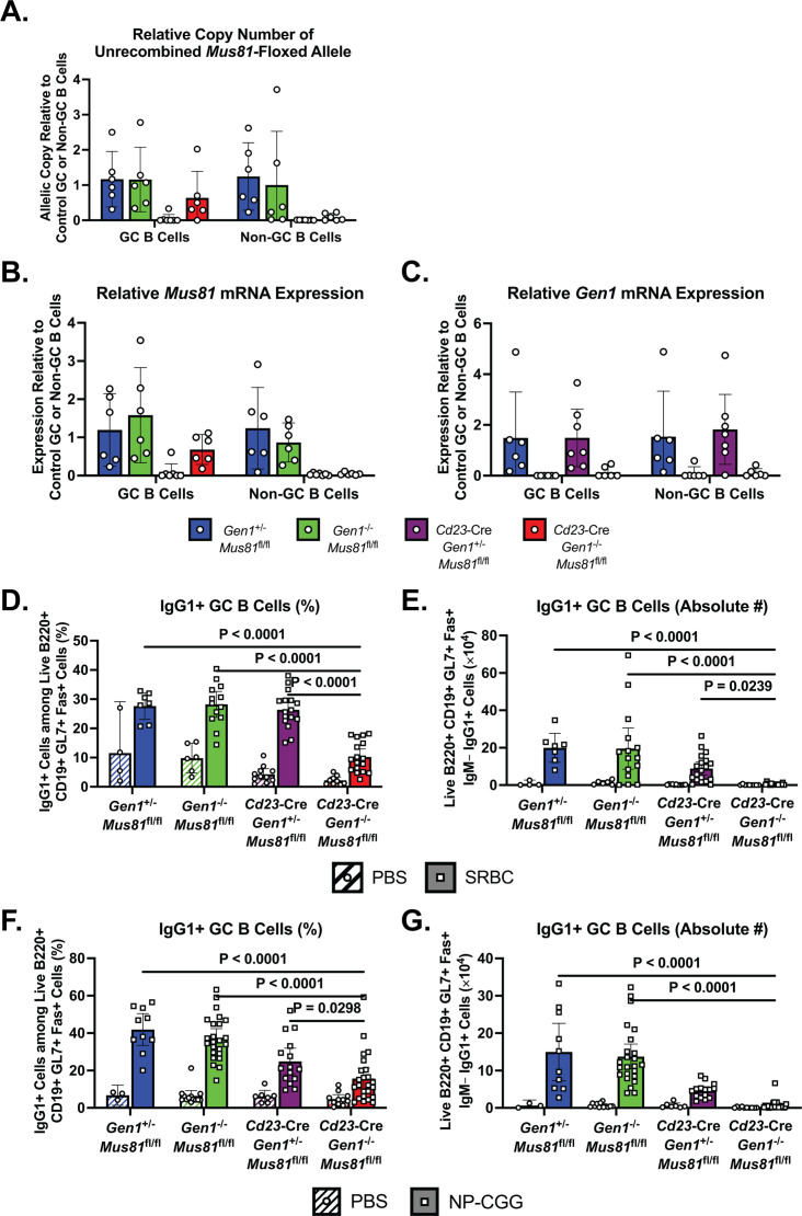 Figure 2—figure supplement 2.