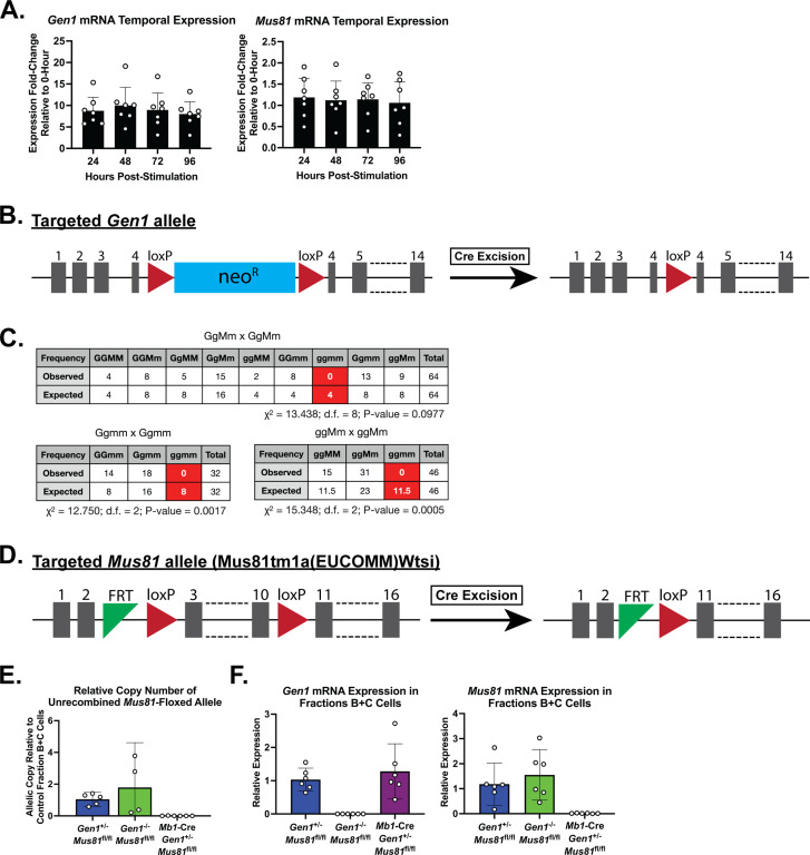 Figure 1—figure supplement 1.