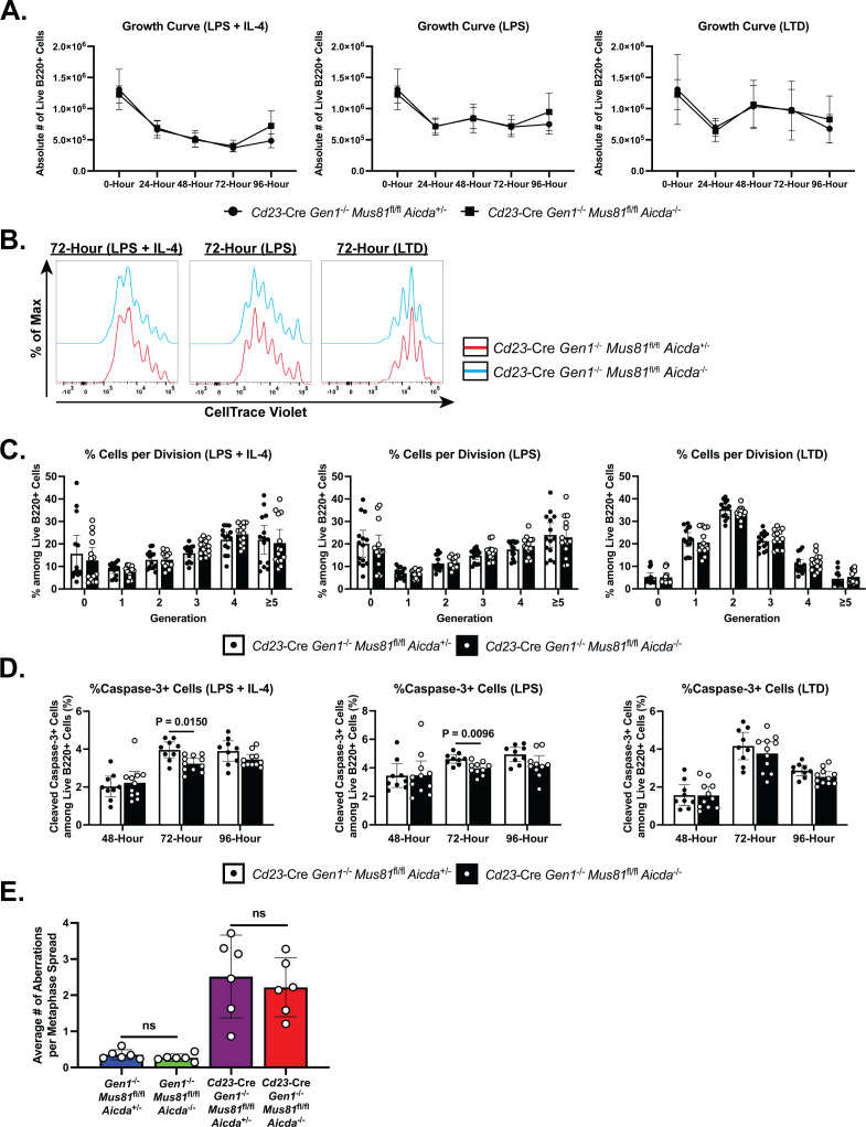 Figure 5—figure supplement 2.