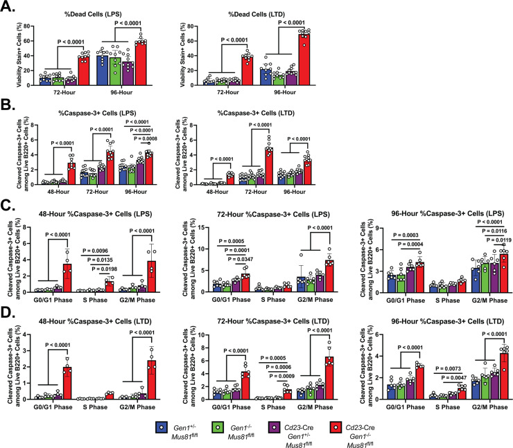 Figure 3—figure supplement 2.