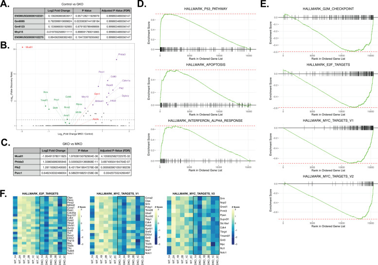 Figure 4—figure supplement 1.