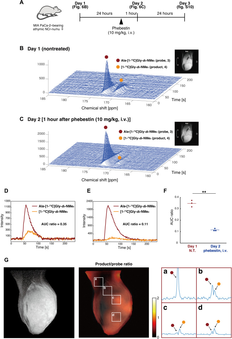 Fig. 6.