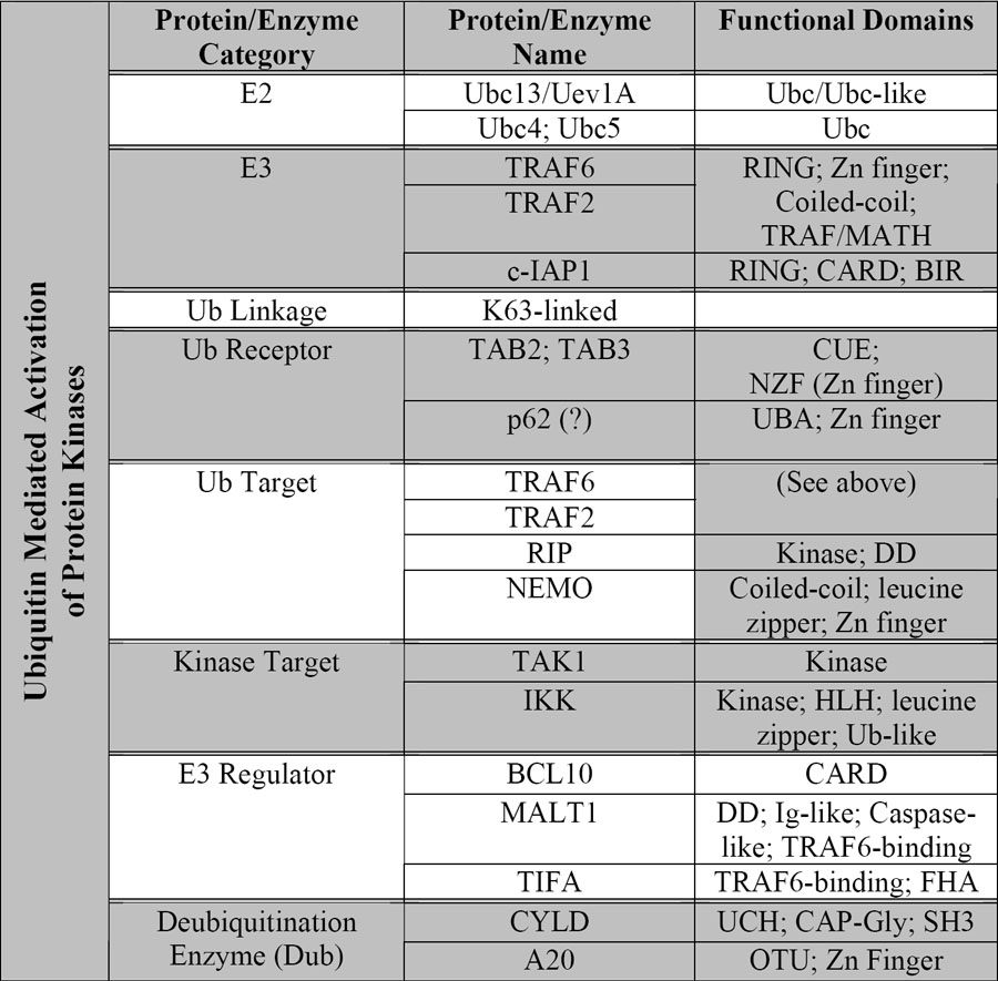 Table 1