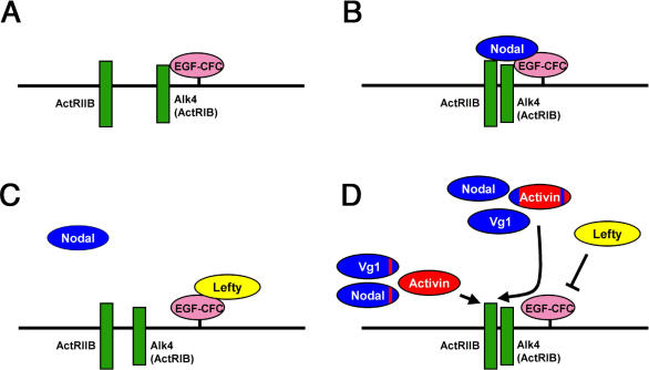 Figure 9