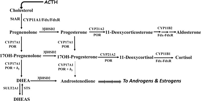 Figure 1.