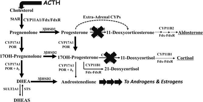 Figure 2.