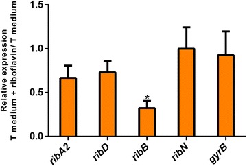 Fig. 2