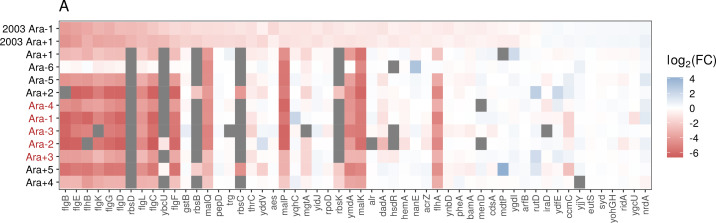 Figure 1—figure supplement 3.