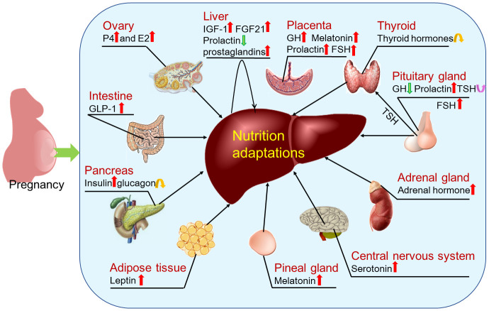 Figure 6