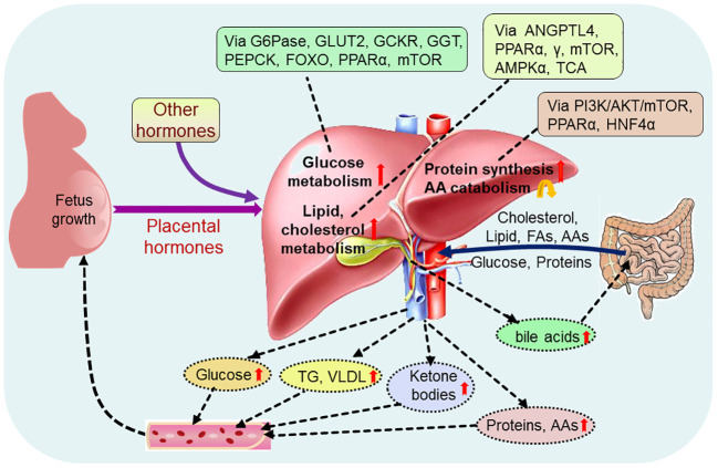 Figure 2