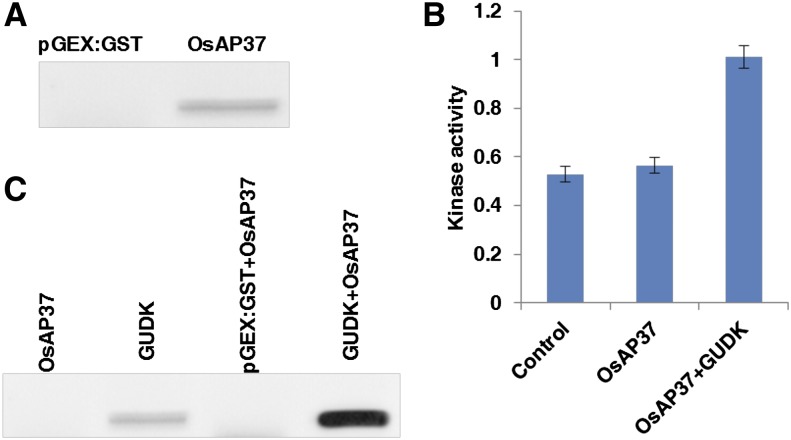 Figure 6.