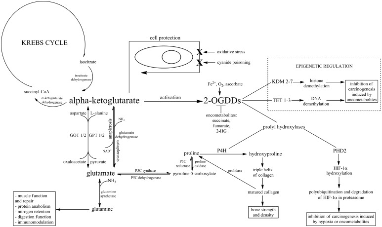 Fig. 1