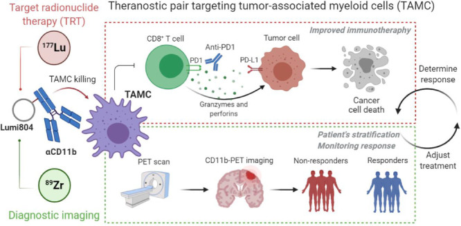 Image, graphical abstract