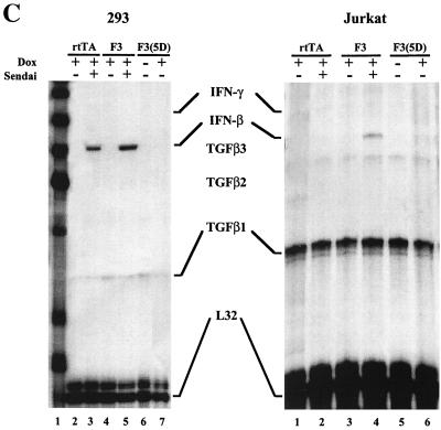 FIG. 6