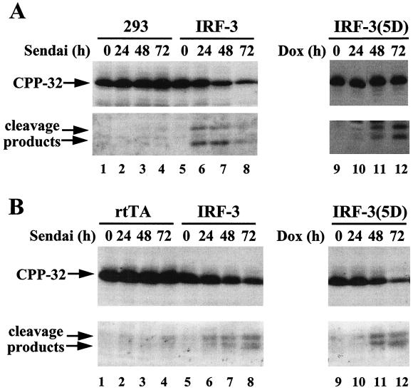 FIG. 7