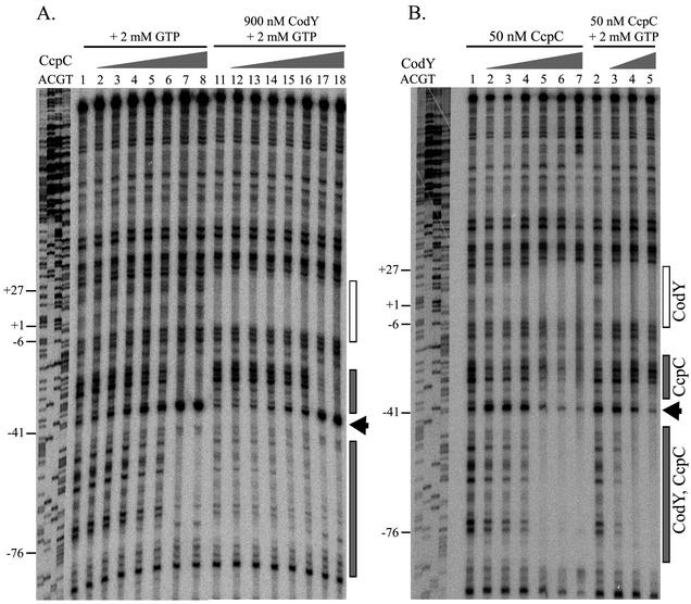 FIG. 6.