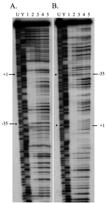 FIG. 7.