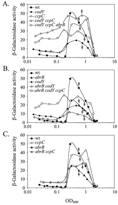 FIG. 1.