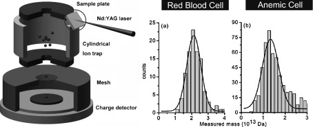 Fig. 1. Left: Schematic of the cylindrical ion trap with laser desorption ion source and charge detector. Right: Measured masses of red blood cells and anemic cells. Adapted from ref. 51 with permission. © 2012 RSC Publishing.