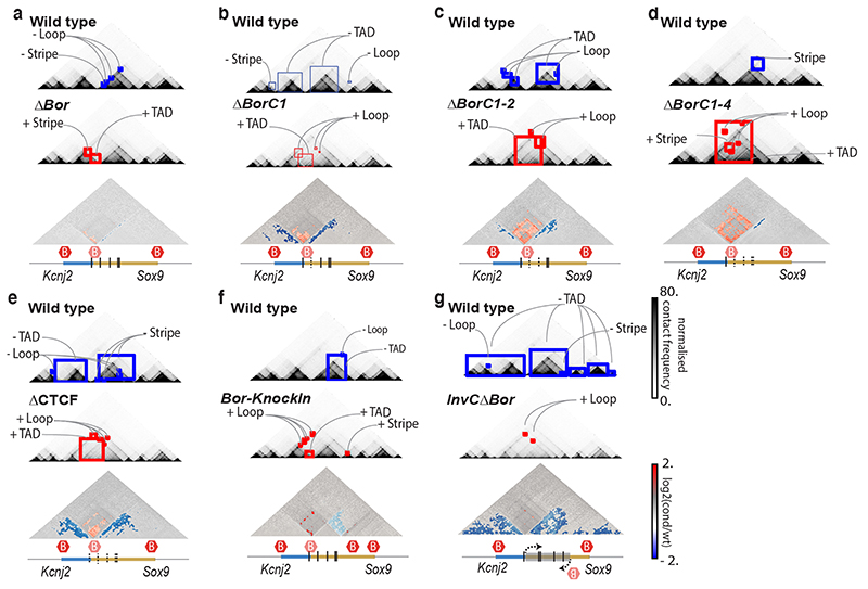 Extended Data Fig. 8