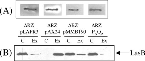 FIG. 5.