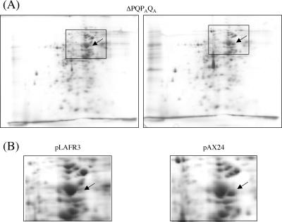 FIG. 7.