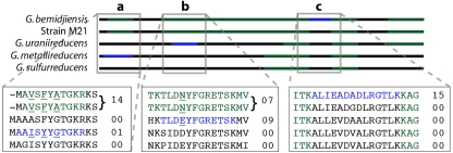 FIG. 4.