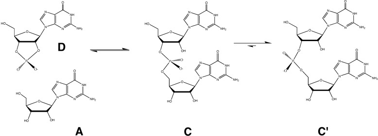 Scheme III