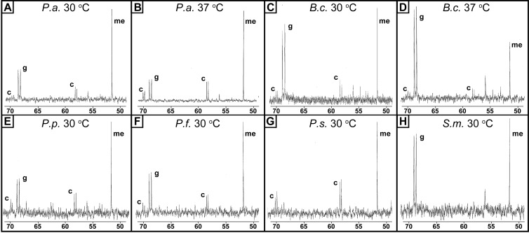 Fig 5