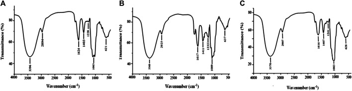 FIGURE 3