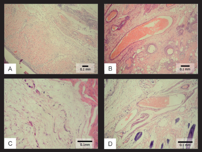 Figure 4)