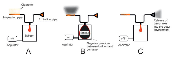 Figure 1)