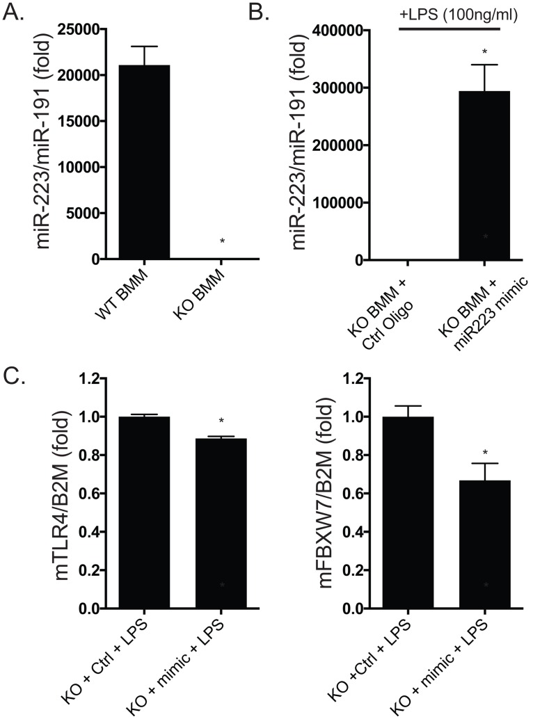 Fig 6