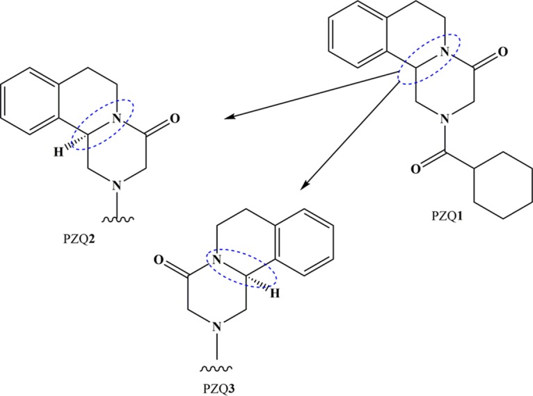 FIG 2