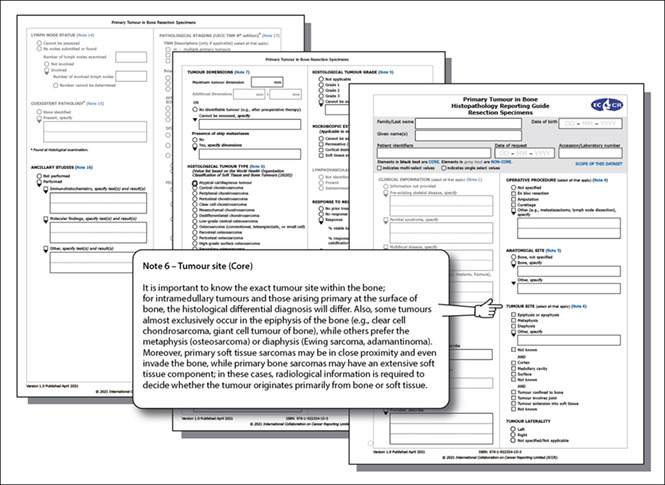 graphic file with name HIS-82-531-g001.jpg