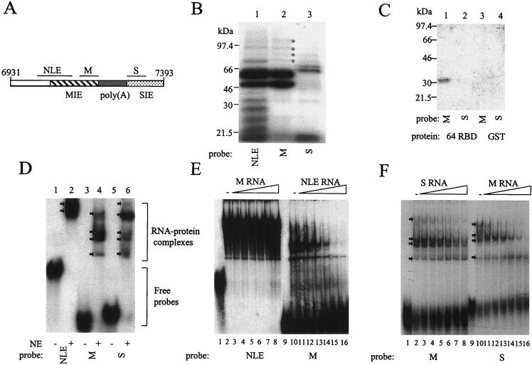 FIG. 7.