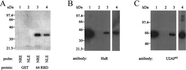 FIG. 6.