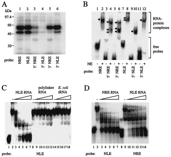 FIG. 5.