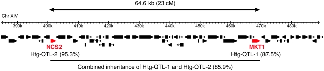 Figure 7.—