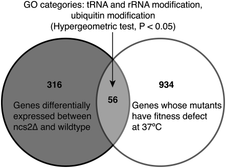 Figure 6.—