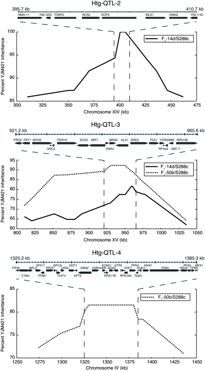 Figure 3.—