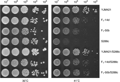 Figure 1.—