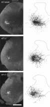 Fig. 2.