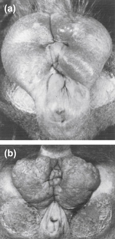 FIGURE 8.1