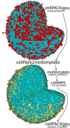 Figure 3.